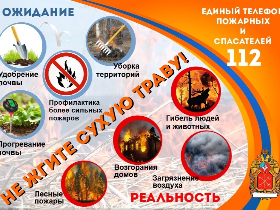 Не жгите сухую траву!.