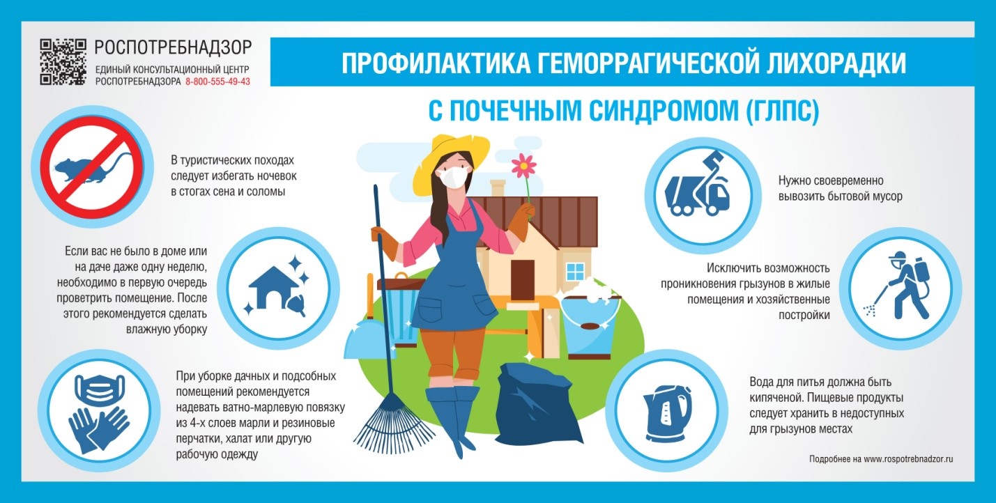 ПРОФИЛАКТИКА ГЕМОРРАГИЧЕСКОЙ ЛИХОРАДКИ С ПОЧЕЧНЫМ СИНДРОМОМ.
