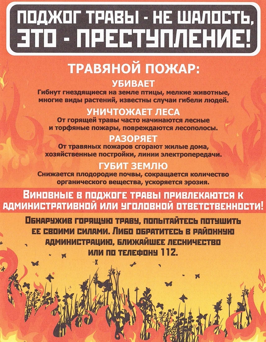 ОНДиПР по Ефремовскому, Каменскому и Воловскому районам напоминает об ответственности за несанкционированный пал травы.