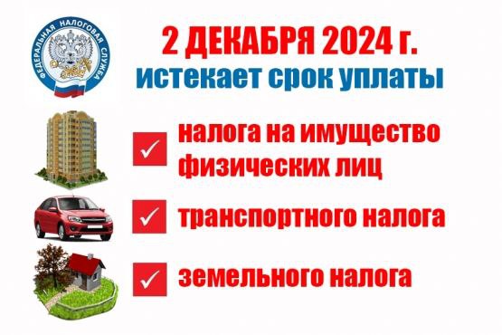 2 декабря истекает срок уплаты налогов.