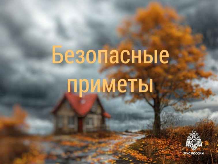 Что нельзя делать в осенне-зимний период. Что нельзя делать в осенне-зимний период.